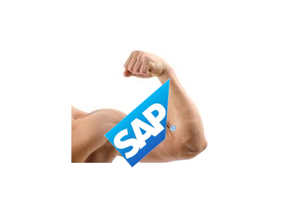 Another Strong Year for SAP